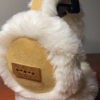 Casque BT-10