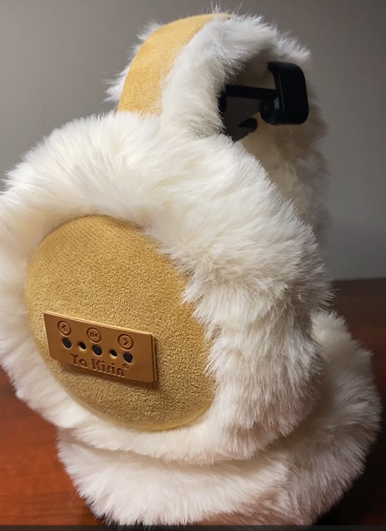 Casque BT-10
